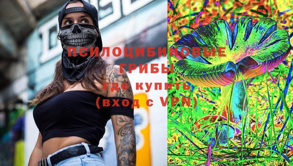 бошки Дмитров