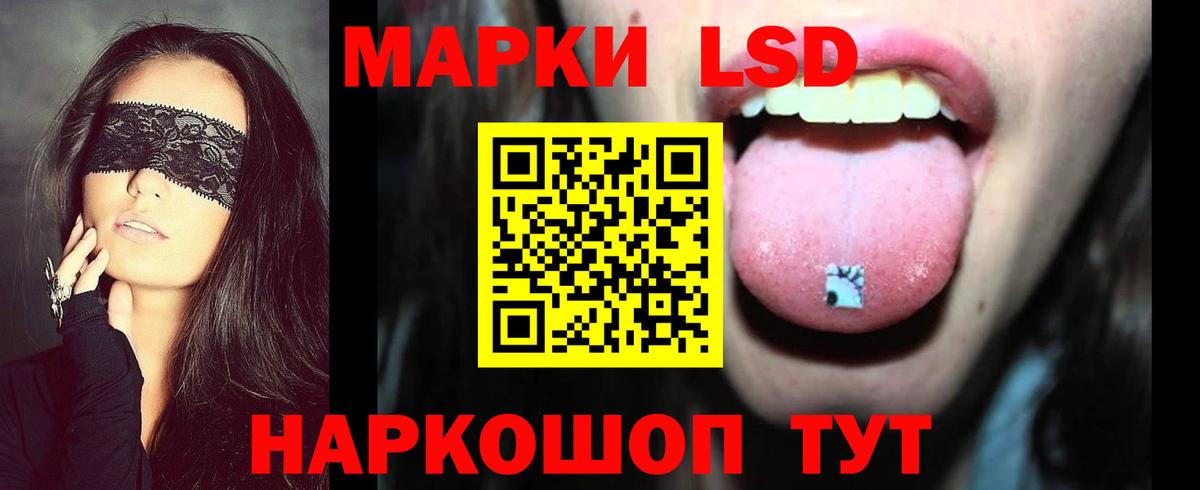 МЕФ Алатырь