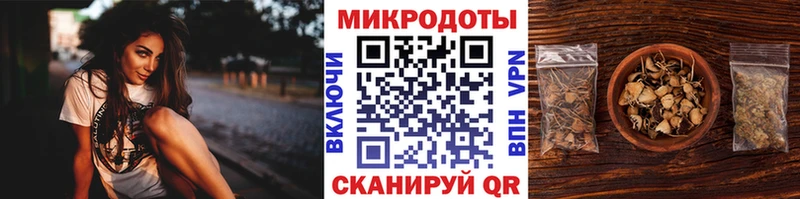 Галлюциногенные грибы Cubensis Алатырь