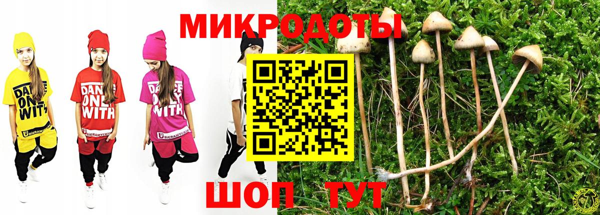 Псилоцибиновые грибы Magic Shrooms  Алатырь  Галлюциногенные грибы мицелий 