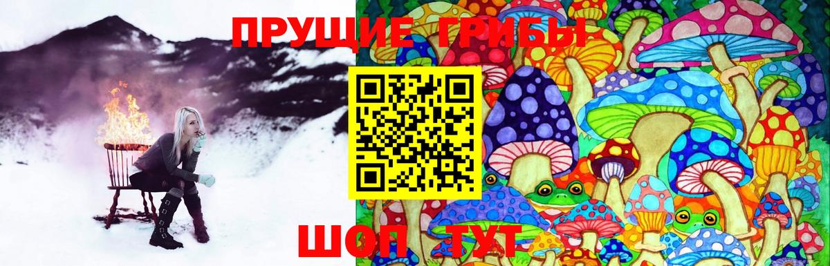 Галлюциногенные грибы Magic Shrooms  Вход с VPN  цена наркотик  Алатырь 