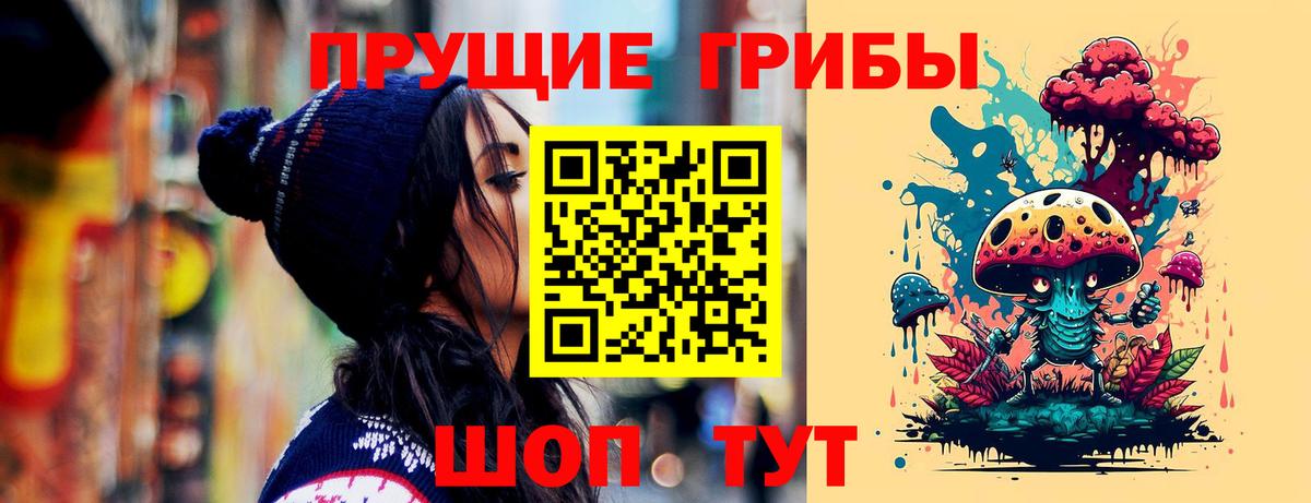 Псилоцибиновые грибы Psilocybe Алатырь