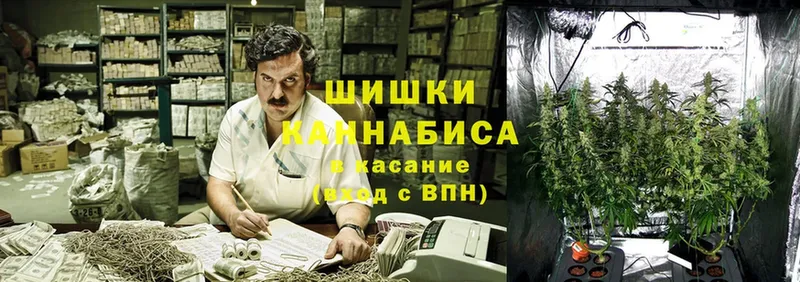 Каннабис Bruce Banner  магазин  наркотиков  кракен зеркало  Алатырь 